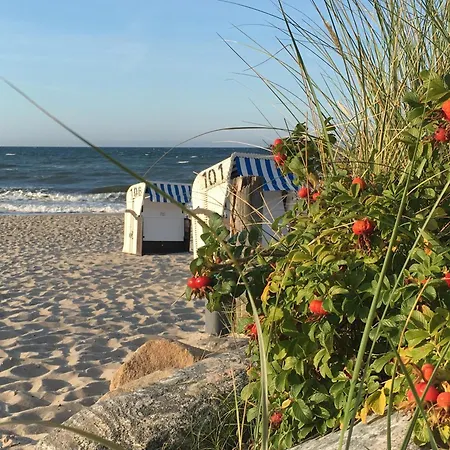 Grosse Familien-ferienwohnung In Strandnaehe Wlan Apartment Kuehlungsborn