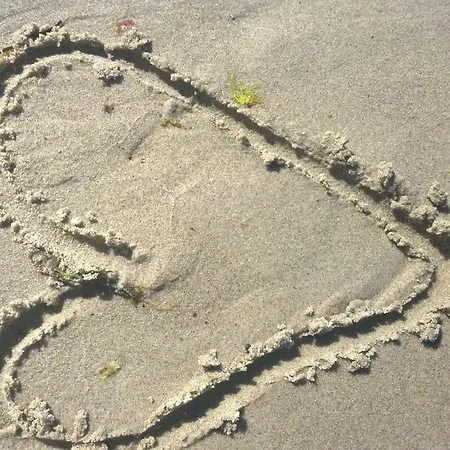 Grosse Familien-ferienwohnung In Strandnaehe Wlan * Kühlungsborn