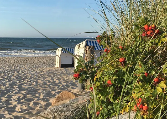 Grosse Familien-ferienwohnung In Strandnaehe Wlan شقة Ostseebad Kühlungsborn
